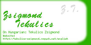 zsigmond tekulics business card